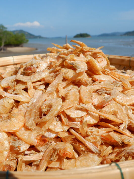กุ้งเสียบ Dried shrimp